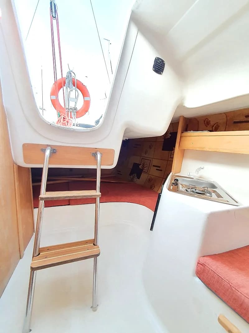 Sasanka 660 Supernova — zdjęcie 6