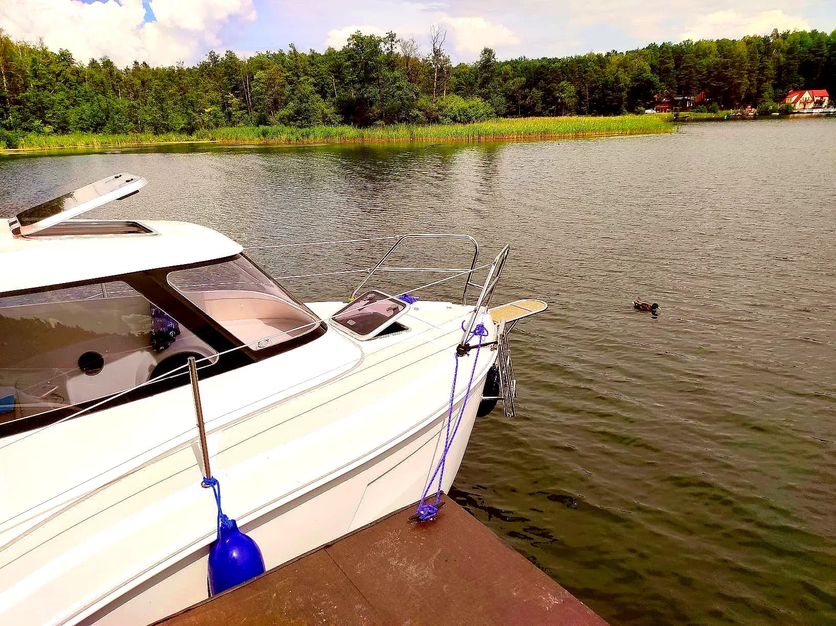 My boat 23 solar — zdjęcie 10