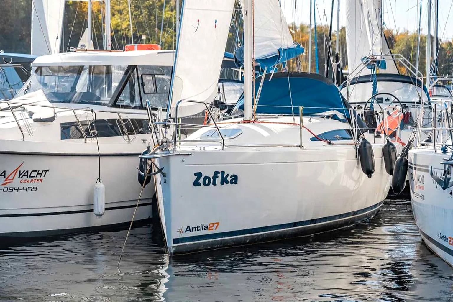 Antila 27 — zdjęcie 2