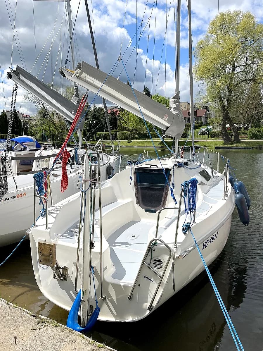 Sasanka 660 Supernova