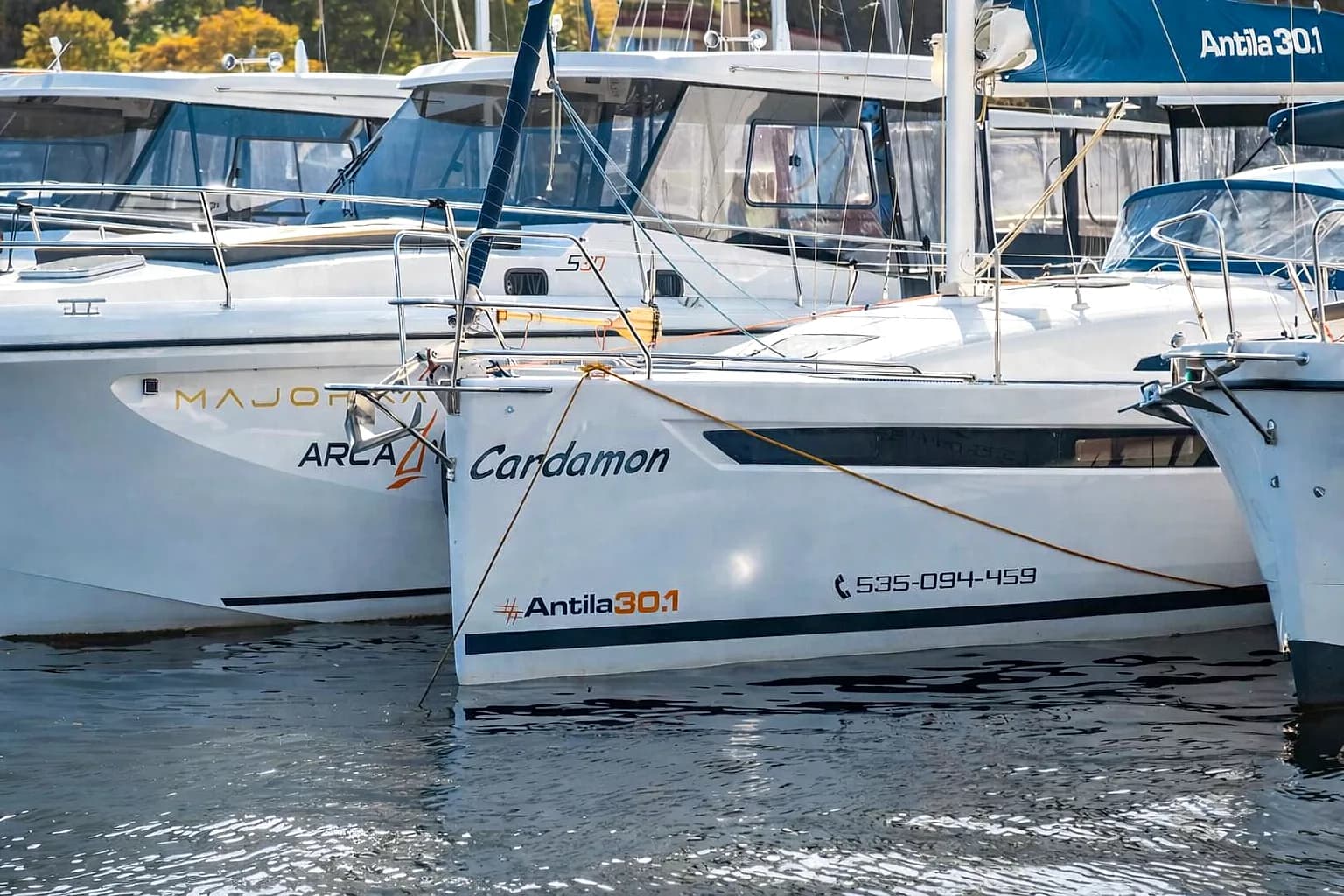 Antila 30.1 Cardamon 2022 — zdjęcie 1